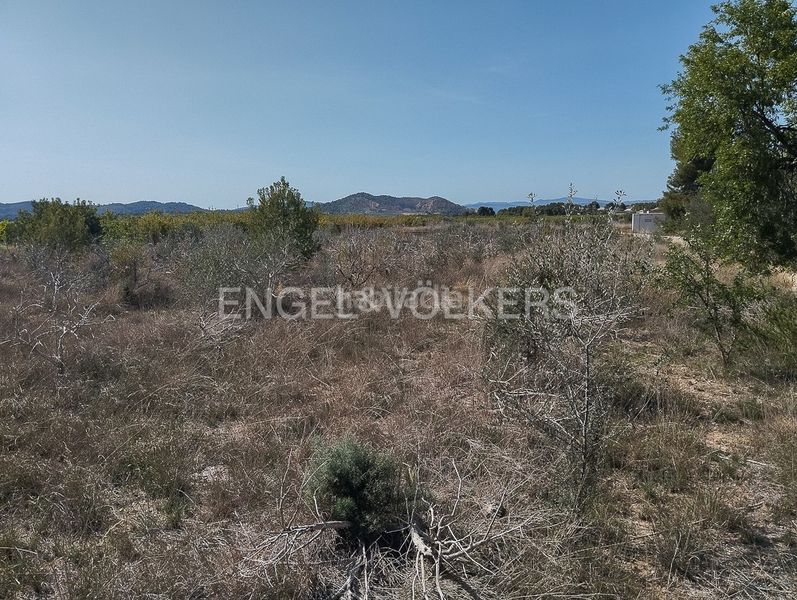 Foto f0bea436-8bcb-49bd-8f8e-bd84e2193b41. Terreno residenziale in Domeño