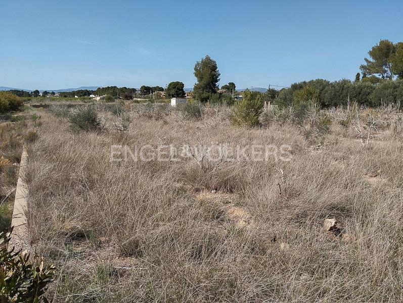 Foto 38dd7395-26ca-4016-876f-45da30a0272d. Terreno residencial parcela urbana más parcela rústica. en Domeño