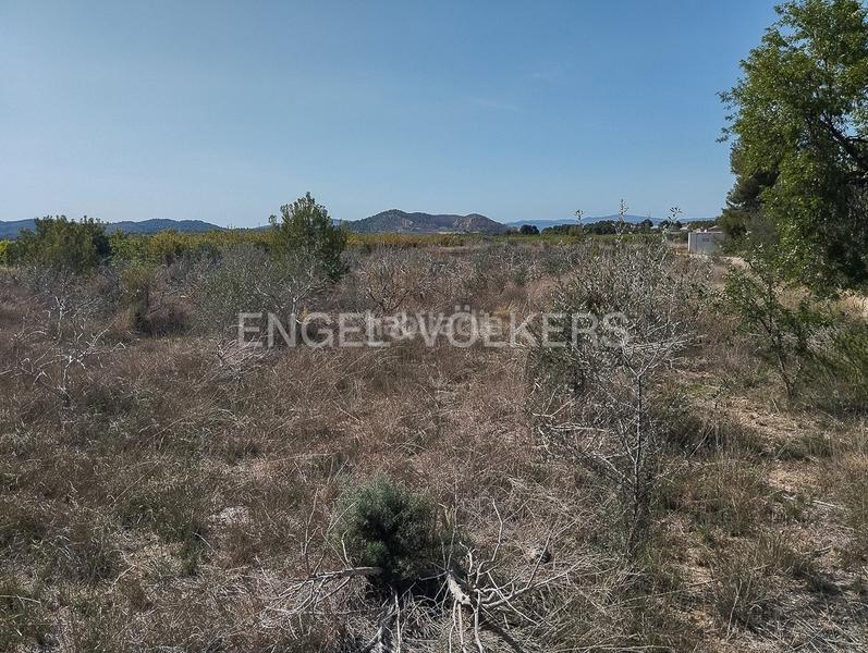 Foto 54fcdc3c-5c77-416a-845e-dc250467fcac. Terreno residencial parcela urbana más parcela rústica. en Domeño