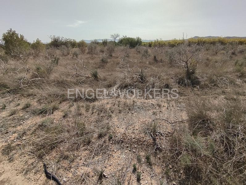 Foto 8b060841-53e4-498a-b6eb-47170222c7ca. Terreno residencial parcela urbana más parcela rústica. en Domeño