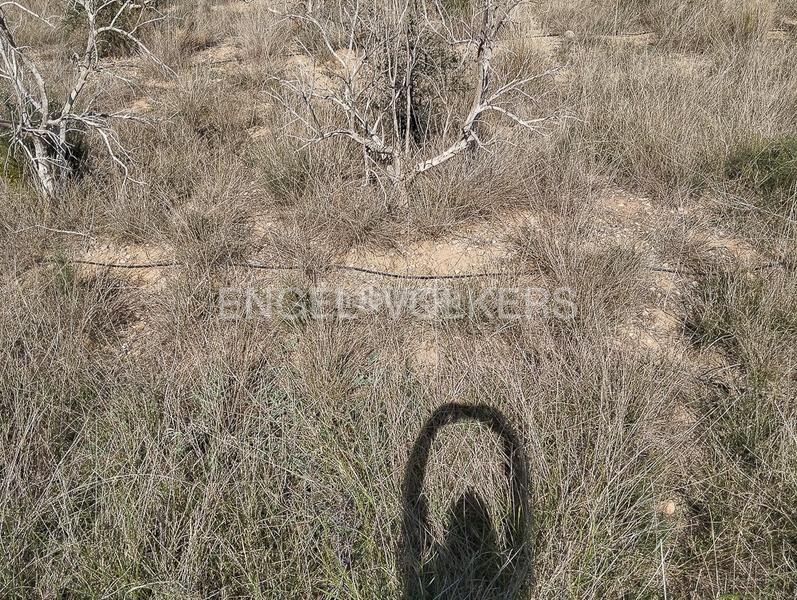 Foto d55d6579-79f5-473f-a56f-ba51f3b81ed9. Terreno residencial parcela urbana más parcela rústica. en Domeño