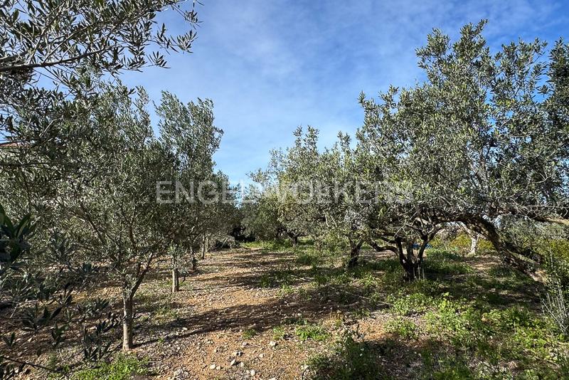 Foto 391f21e7-71ae-4bba-a6e7-8d190f7d1854. Casa amb calefacció aparcament a La Xara-La Sella Dénia