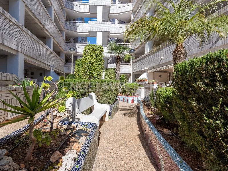 Foto 07bfdb12-a50d-4028-b6ad-1227c93ed1d0. Apartamento tu nuevo hogar en marina trébol iii te espera! en Oropesa del Mar