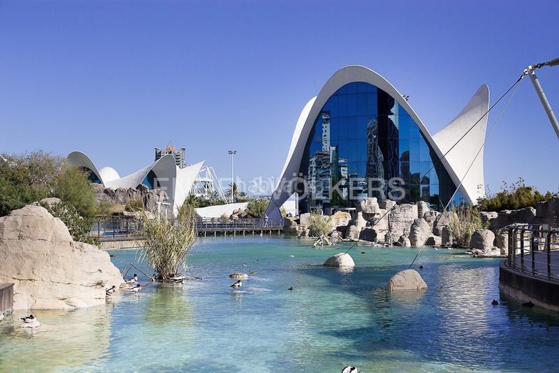 Foto 74fbeef0-1138-4083-a1a1-816e08168941. Rent apartment with heating parking in Penya-Roja - Avda. Francia Valencia