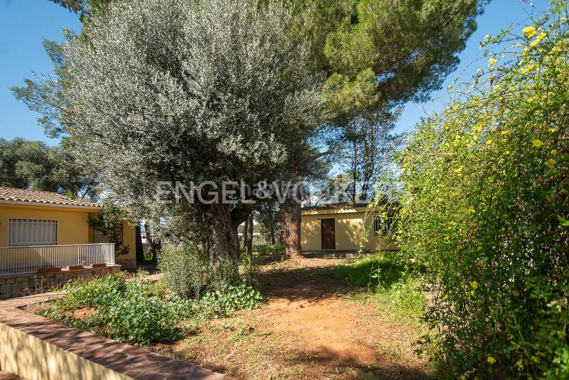 Foto 3af5b380-226d-44ff-9a62-22bec0955274. House with heating parking pool in Madrigal Villarreal / Vila - real