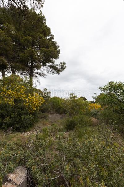 Foto f1843227-b31c-440b-8a28-fb669b59a14b. Residential plot in Cap Martí - El Tossalet - Pinomar Xàbia