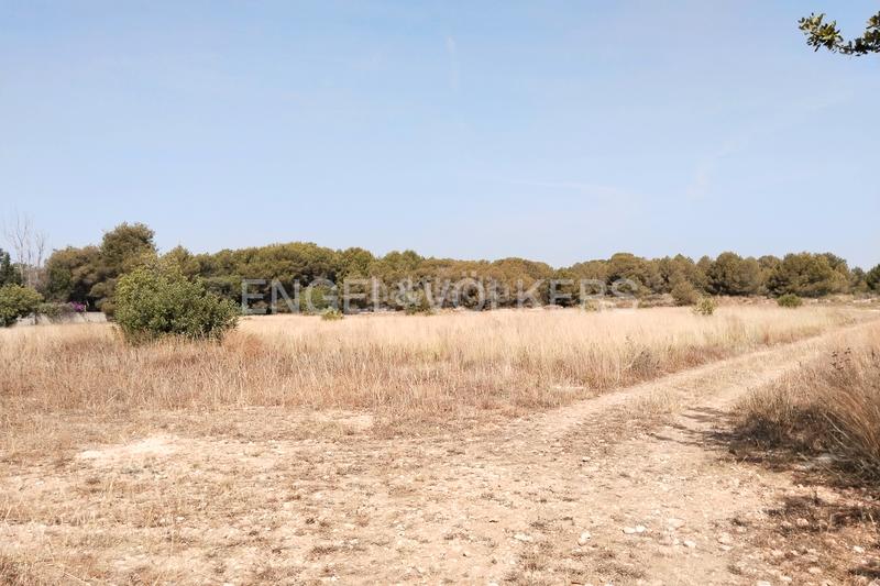 Foto 1a600325-7957-4488-bdcc-cf95f80547ce. Terreno residencial suelo urbano para promoción inmobiliaria en la malla collado en Manises