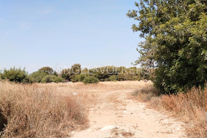 Foto 6359b63a-6f8f-490e-8be0-0045749b86fb. Terreno residencial suelo urbano para promoción inmobiliaria en la malla collado en Manises