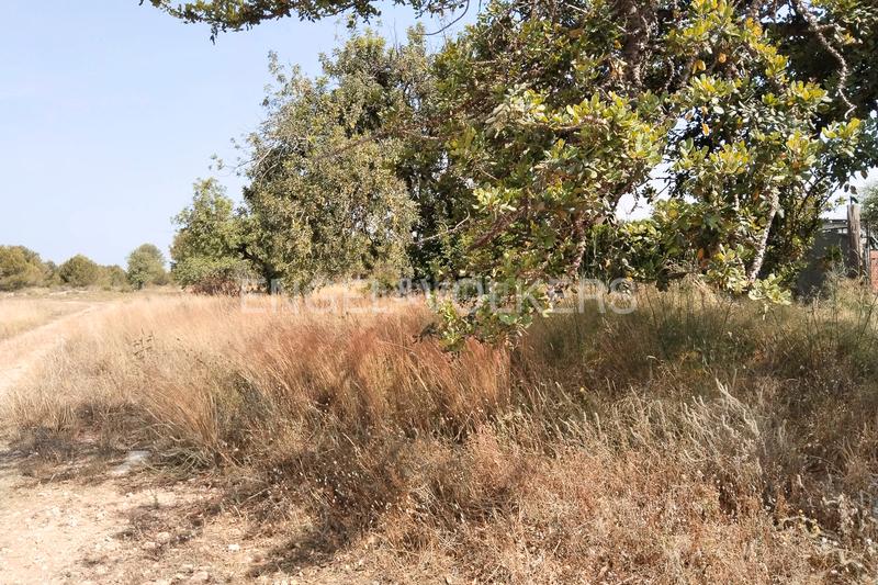 Foto 79ce5775-83e3-49ac-893a-24bba9bf3a6e. Terreno residencial suelo urbano para promoción inmobiliaria en la malla collado en Manises