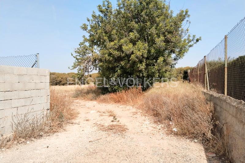 Foto 7b898313-c03f-46f8-a95a-83f5f6fd654a. Terreno residencial suelo urbano para promoción inmobiliaria en la malla collado en Manises