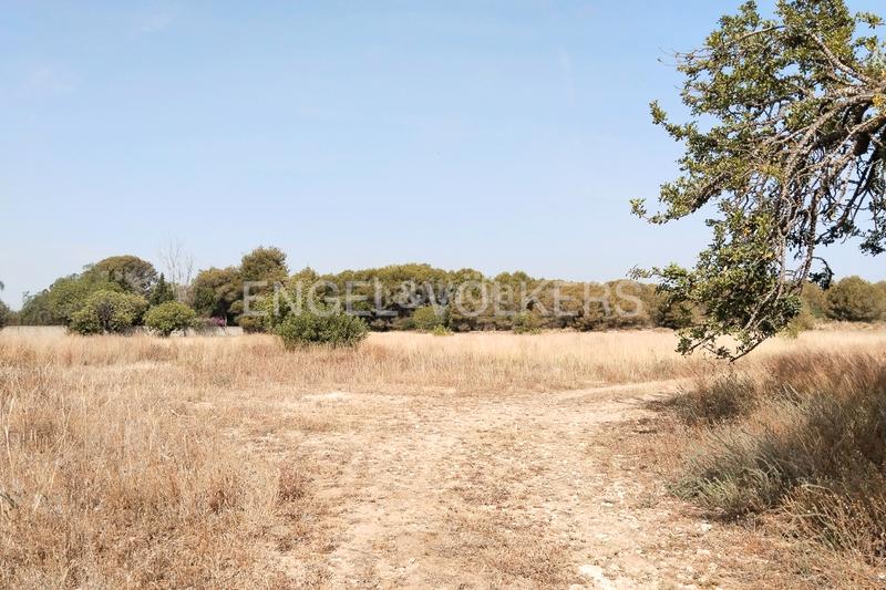 Foto a77f36d7-d559-48e5-a541-bed49c0aa7d7. Terreno residencial suelo urbano para promoción inmobiliaria en la malla collado en Manises