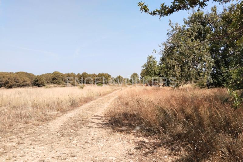 Foto e24829a3-d9a3-4270-a137-a8287adea194. Terreno residencial suelo urbano para promoción inmobiliaria en la malla collado en Manises