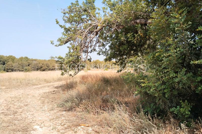 Foto f3df84fd-b39e-4994-af05-72c52fb53945. Terreno residencial suelo urbano para promoción inmobiliaria en la malla collado en Manises