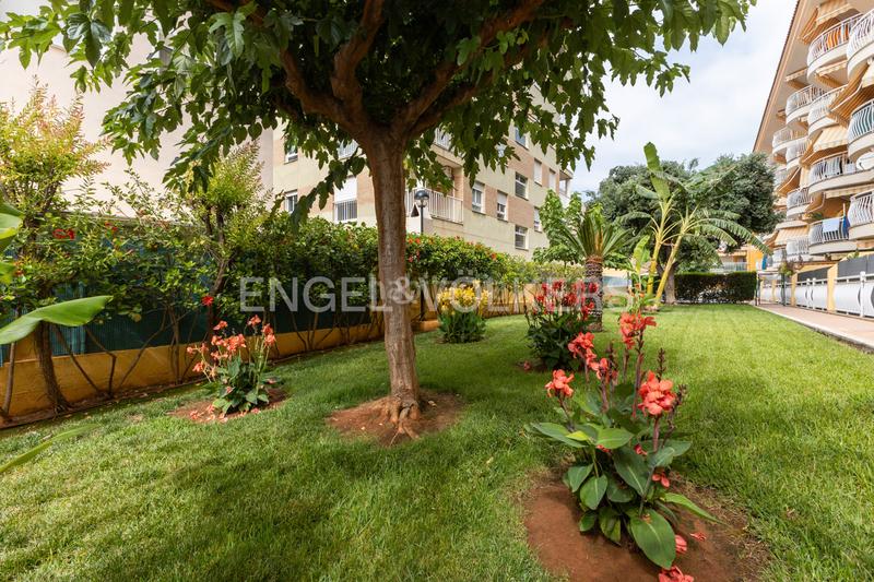 Foto a50325b0-b06d-4085-862a-0d73e031ba97. Appartement mit heizung pool in Centro Oropesa del Mar