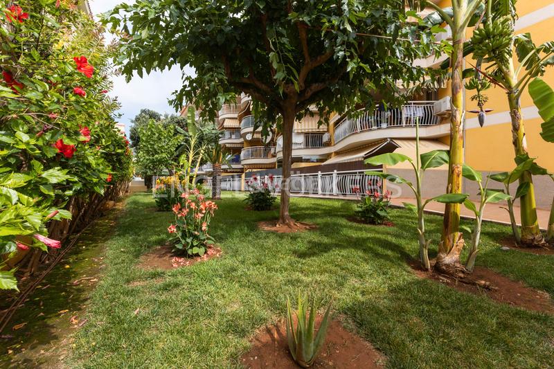 Foto e7d9e22e-2f5d-4219-9425-0cb053e789ee. Appartement mit heizung pool in Centro Oropesa del Mar