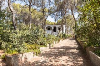 Haus in Monteamor-La Carrasca-El Peucal. Descubre el encanto histórico y natural en esta villa con gran j
