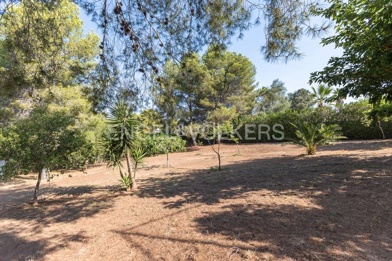 Foto 6135c1df-09f8-46bf-85d6-d9327204352a. Wohngrundstück in Cumbres de Calicanto Torrent