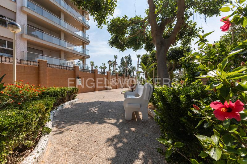 Foto a37476f7-6746-4295-b653-6e9da8b84d22. Piccolo appartamento con riscaldamento parcheggio piscina in Oropesa del Mar