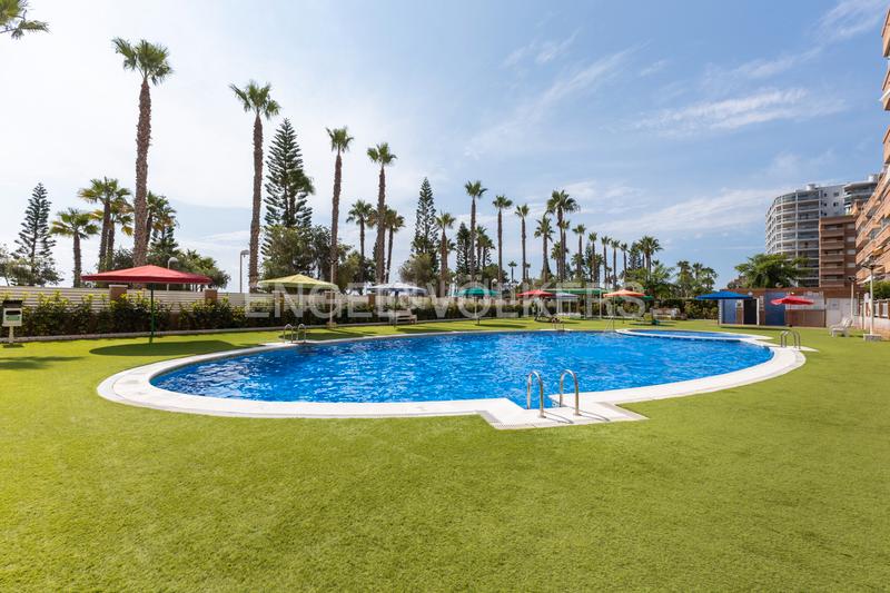 Foto edf7a5f1-b6c3-4a29-9bd2-9fb253114e25. Piccolo appartamento con riscaldamento parcheggio piscina in Oropesa del Mar