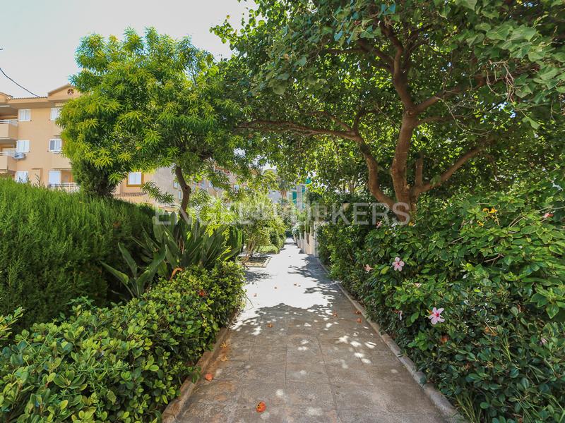 Foto ca7b219f-1d7c-4744-ae00-8e850f12bc54. Casa adosada  en venta en playa la concha vive frente al mar! en Oropesa del Mar