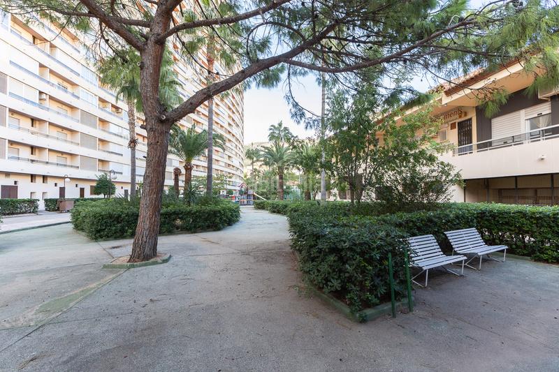 Foto 7fb85d69-31d8-462e-83ac-a3edb1f2d532. Location appartement avec chauffage dans Racó Cullera