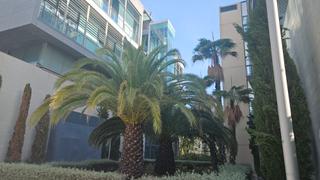Location Loft  Creu roja. Magnífico loft junto a centro comercial turia