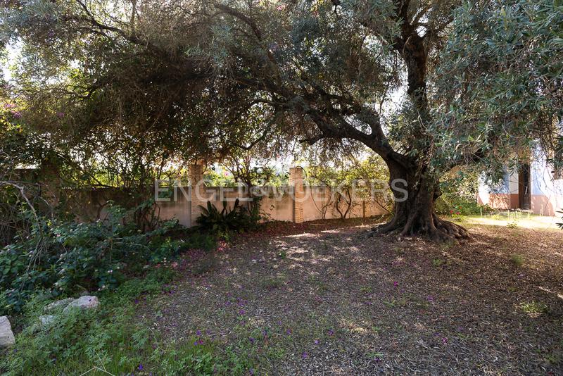 Foto 679c423a-72cf-4fb4-a131-4b60de9695b0. Maison avec chauffage parking piscine dans Carcaixent