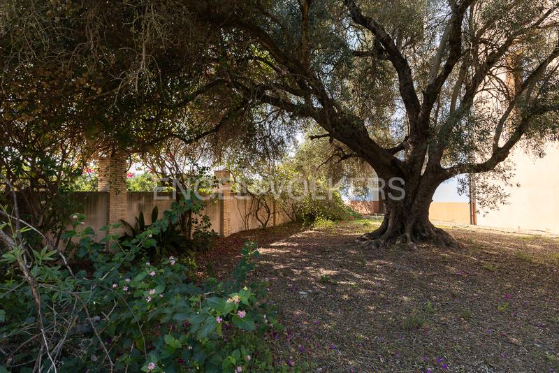 Foto cef08ae9-ef84-4191-990c-279742ea0594. Maison avec chauffage parking piscine dans Carcaixent