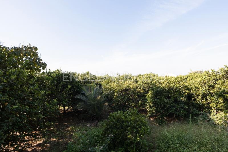 Foto f4a9c332-6998-400f-920c-1934879d1f9f. Maison avec chauffage parking piscine dans Carcaixent