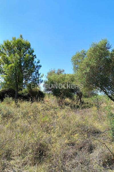 Foto 24231ede-bc58-4a34-b78a-8963a927854e. Terrain résidentiel dans Pedreguer