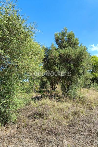 Foto 515addea-c2b7-40b8-a04d-5e1a18324a61. Terrain résidentiel dans Pedreguer