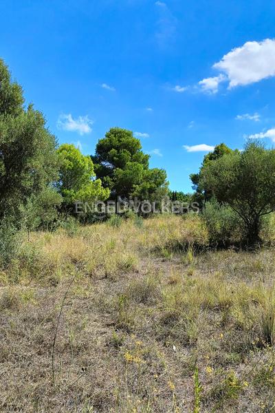 Foto 8a407216-58e6-4cad-8935-e2539e80e353. Terrain résidentiel dans Pedreguer