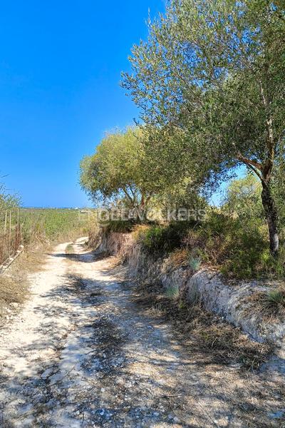 Foto 8d219c81-6bc8-4133-a0c0-3631f9b5d201. Terrain résidentiel dans Pedreguer