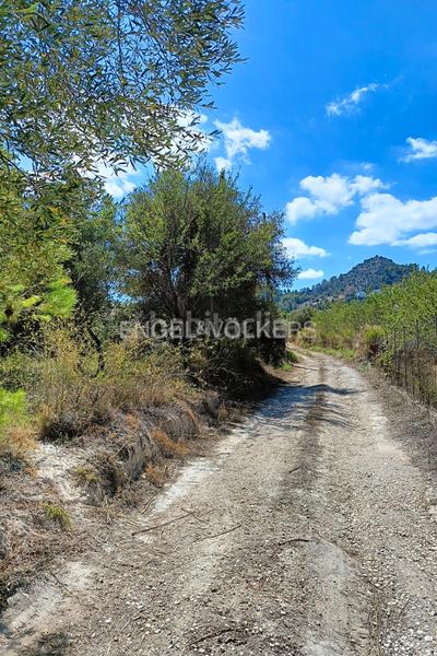 Foto afce34b8-7d93-4d45-bb15-c400134afb14. Terrain résidentiel dans Pedreguer