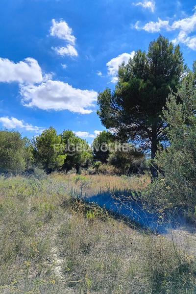 Foto fda6825d-270f-43b1-97f0-d701f84fac3a. Terrain résidentiel dans Pedreguer