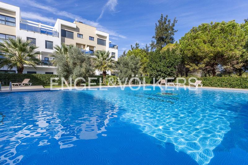 Foto 50eca3c4-d5b6-4552-9c86-c8aed5053084. Piccolo appartamento con riscaldamento parcheggio piscina in Oliva