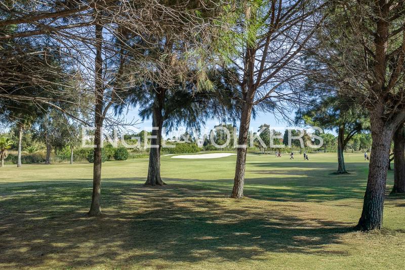 Foto 6354e3b1-6c06-4ed7-b033-4915c2b2961a. Piccolo appartamento con riscaldamento parcheggio piscina in Oliva