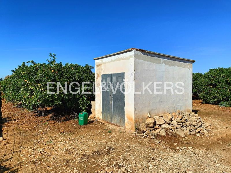Foto 10b6b6cd-22c3-4eb7-b4c2-fb6b9a807145. Terreny residencial a Poblets (els)