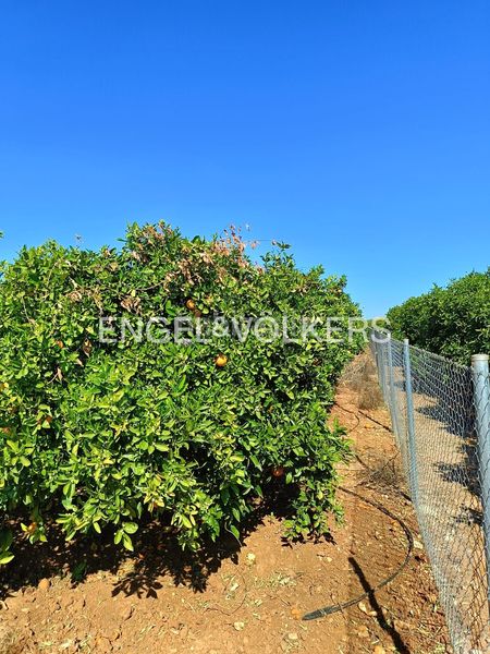 Foto 15588863-f230-48a8-abf8-951ef7958d99. Terreny residencial a Poblets (els)