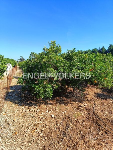 Foto 34ac6846-e261-4046-a4f0-2db444465cf1. Terreny residencial a Poblets (els)