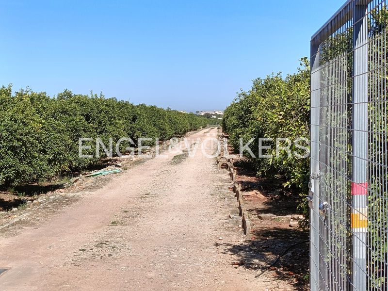 Foto 5c6506ba-d71c-46b1-9c66-9d1dc1cfeced. Terreny residencial a Poblets (els)