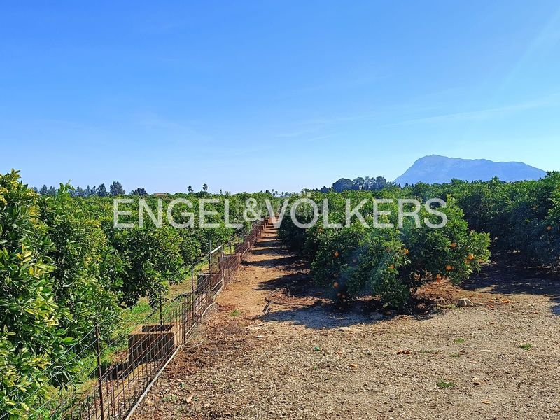 Foto 94543e11-2d38-4f15-bfe7-b33eec28438b. Terreny residencial a Poblets (els)