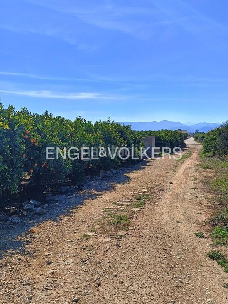 Foto abfd972f-3b03-4a44-9535-915e759e5bff. Terreny residencial a Poblets (els)