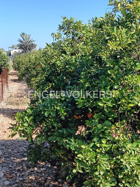 Foto eefbc678-26e6-4641-87de-4dcc580321e0. Terreny residencial a Poblets (els)