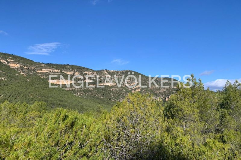 Foto 188d4c90-8c99-4103-8edd-a27a087fb82f. Terreny residencial a Chelva