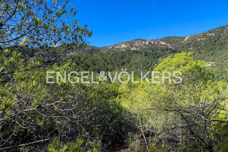 Foto a93e9ed4-ca0e-43f9-b552-052bfea06c69. Terreny residencial a Chelva