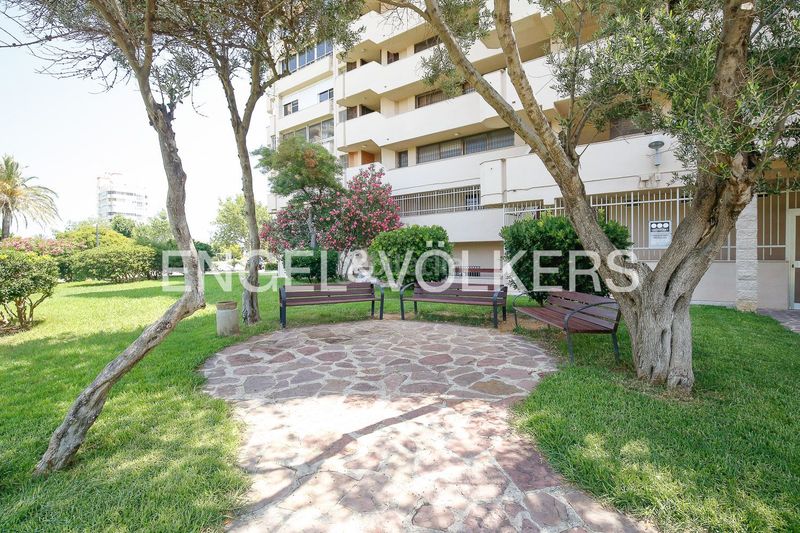 Foto bc3b2be3-91f9-4df5-8725-00767b78d8db. Pis amb calefacció piscina a El Saler Valencia