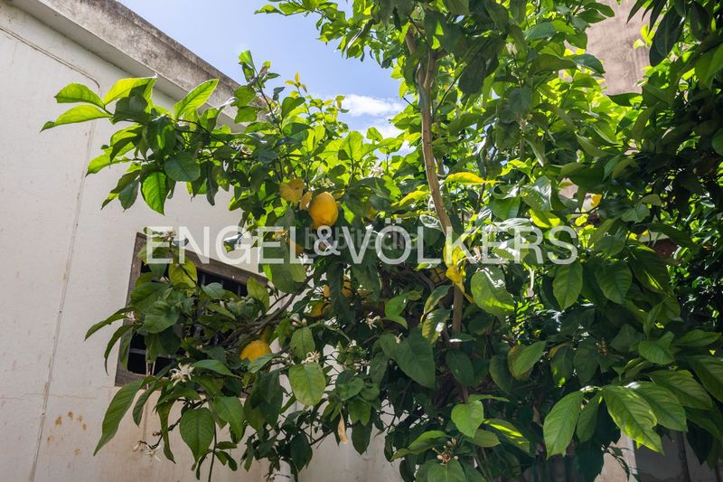 Foto 1b69da95-6a78-4e4b-b9d7-1f45f6b0aefc. Casa amb calefacció a Alfafar