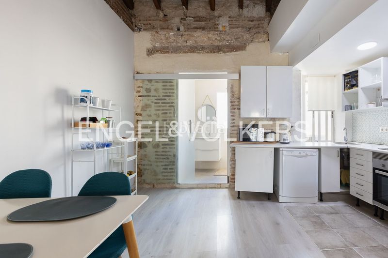 Foto e1ddd015-efac-46f5-810b-5b976e0df9cc. Pis amb calefacció a El Botànic Valencia