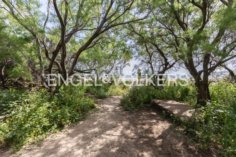 Foto 494cb6f2-ffc5-4ecb-8d5f-b5c7ab1d800b. Casa amb calefacció aparcament piscina a Pinedo Valencia